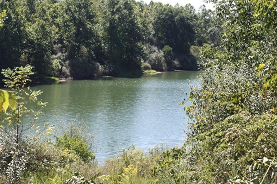419 +/- Acres offered in 6 Tracts, Land Auction